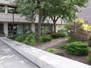 Exterior view of Seiberling Courthouse plaza landscaping